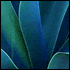 Daily Thought